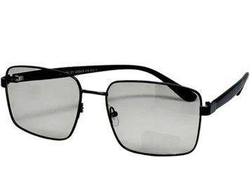 Polar Eagle S80078 фото